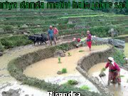 20110701_TirthaYatriPoudel_AsareGeet
